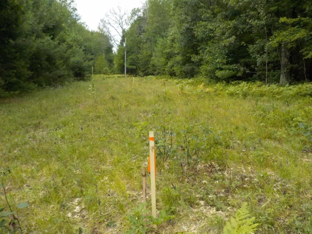 Siren, WI 54872,0 Lot 14 Jamesway Road