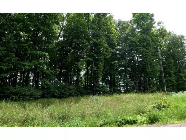 Sarona, WI 54870,#1 Bear Landing