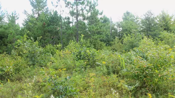 Springbrook, WI 54875,LOT 2 CTY HWY E