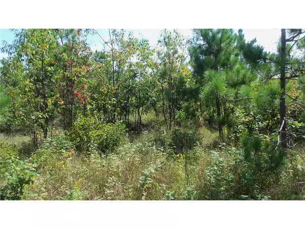 Springbrook, WI 54875,LOT 7 CTY HWY E