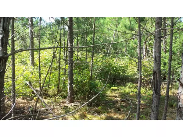 Springbrook, WI 54875,LOT 8 CTY HWY E