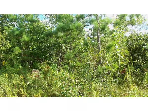 Springbrook, WI 54875,LOT 4 PINE TREE TRL