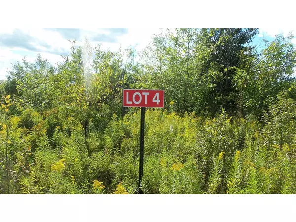 LOT 4 PINE TREE TRL, Springbrook, WI 54875