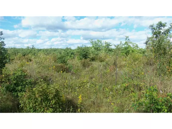 Springbrook, WI 54875,LOT 10 PINE TREE TRL