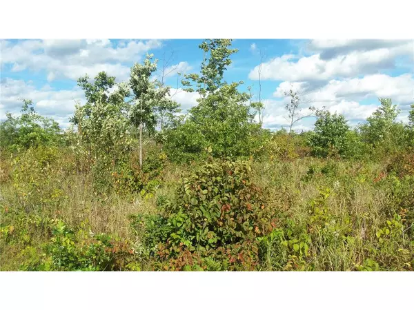 Springbrook, WI 54875,LOT 10 PINE TREE TRL