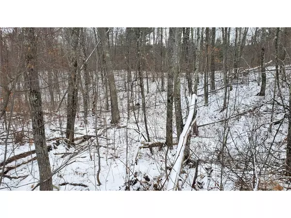 Hayward, WI 54843,Lot 0 State Hwy 27