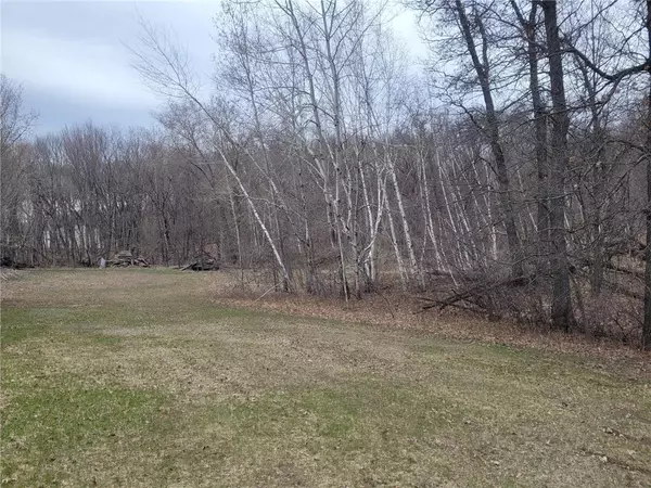 Saint Croix Falls, WI 54024,XXX US HWY 8