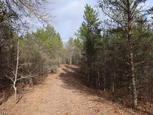 Lot 35 Crystal Lake Dr, Webb Lake, WI 54830