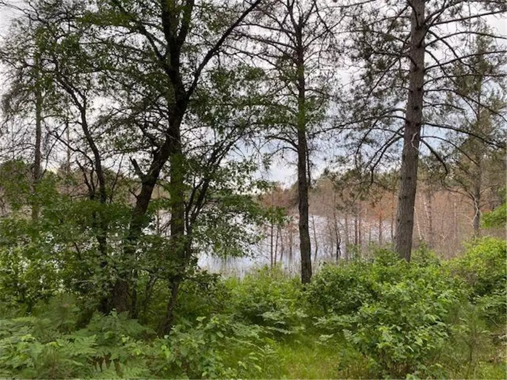 Barnes, WI 54873,55065 Silverwolf Dr