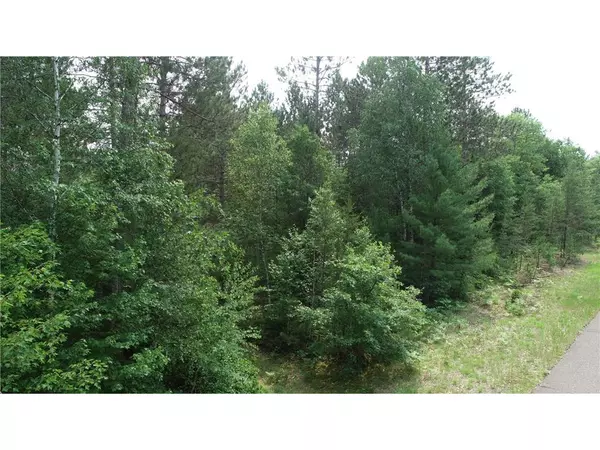 Webb Lake, WI 54830,xxxxx N Bear Lake Rd