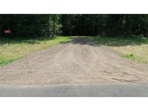 Webster, WI 54893,LOT 1 BIRCH HAVEN RD