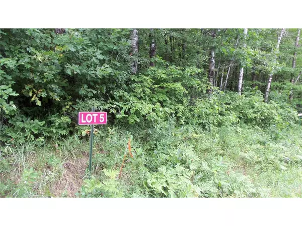 Webster, WI 54893,LOT 5 CTY RD X