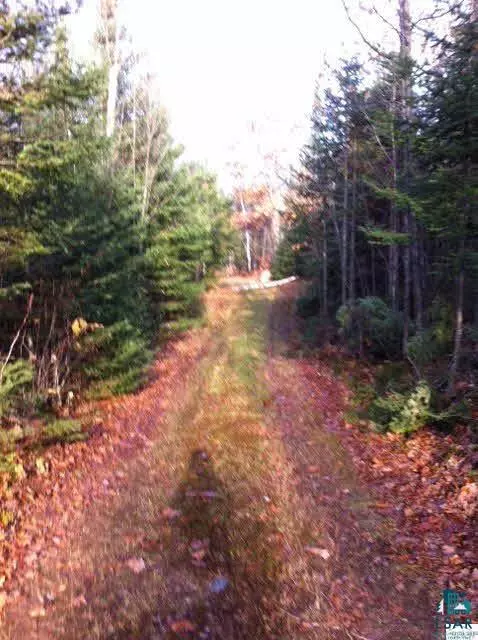 Summit, WI 54880,4616 E Sutherland Rd