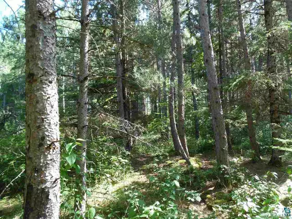 High Bridge, WI 54846,0000 Seaquist Rd