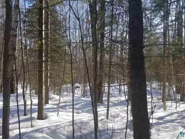 Herbster, WI 54844,XXXX Lenawee Rd