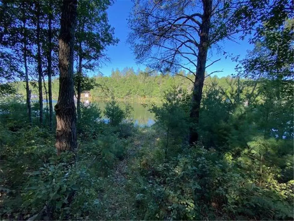 Wascott, WI 54838,0 Secluded Lane