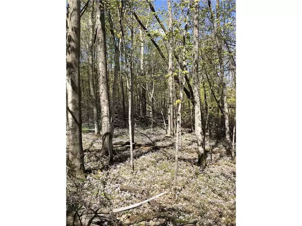 Dallas, WI 54733,0 6 1/2