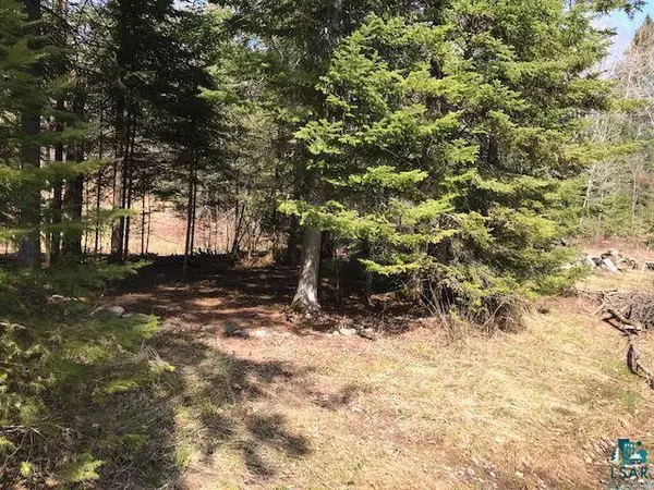 Bayfield, WI 54814,xxxxx Brickyard Creek Rd