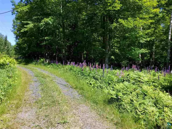 Herbster, WI 54844,89320 Bark Point Rd