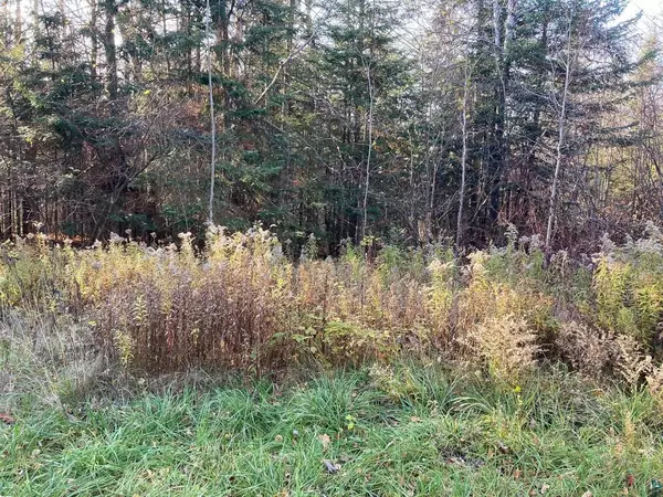 XXXXX Sawgrass Rd, Cornucopia, WI 54827