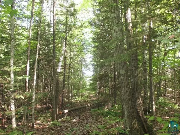 Lots 20 and 21 Longwood Dr, Bayfield, WI 54814