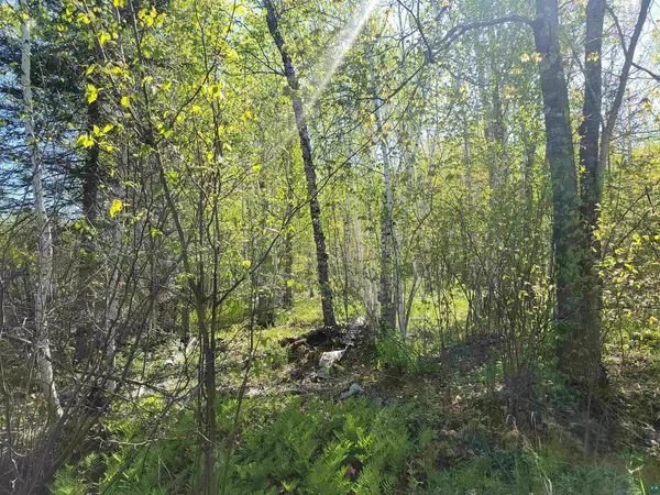 Herbster, WI 54844,xxx Bark Point Rd