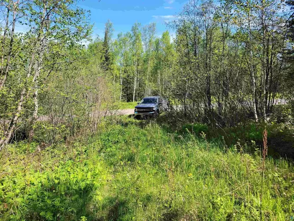 Herbster, WI 54844,xxx Bark Point Rd