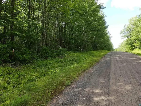 Solon Springs, WI 54873,Parcel 3 Harroun Rd