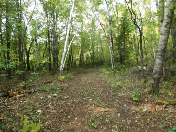 Iron River, WI 54847,68XX Iron Lake Rd