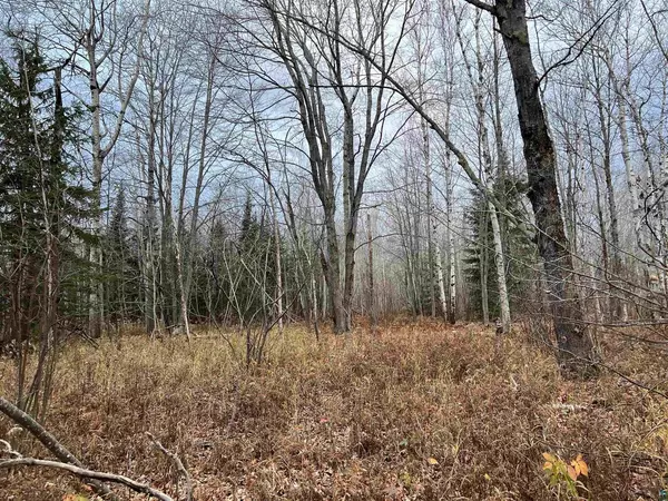 Herbster, WI 54844,17xxx Bark Bay Rd