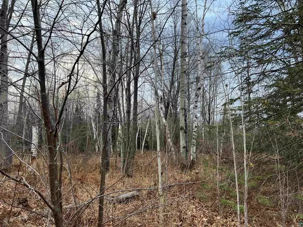 Herbster, WI 54844,17xxx Bark Bay Rd