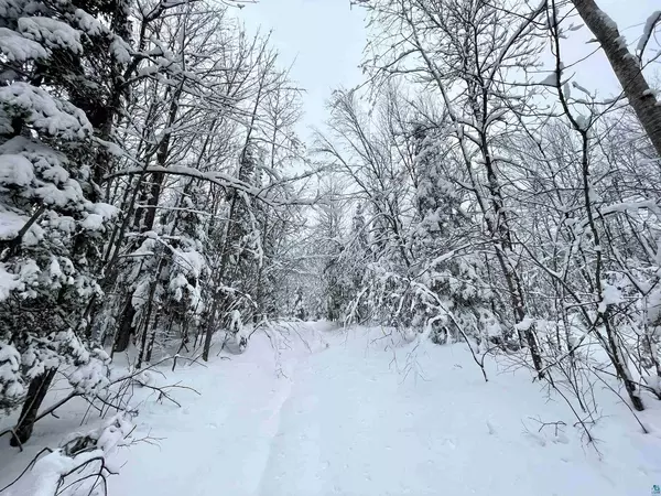 High Bridge, WI 54846,65 Acres on Golf Course Rd