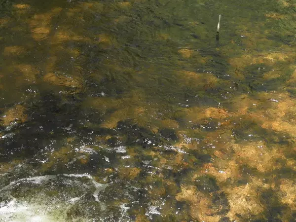 Iron River, WI 54847,625X Iron Lake Rd