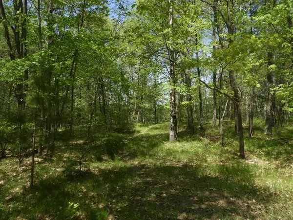 Iron River, WI 54847,625X Iron Lake Rd