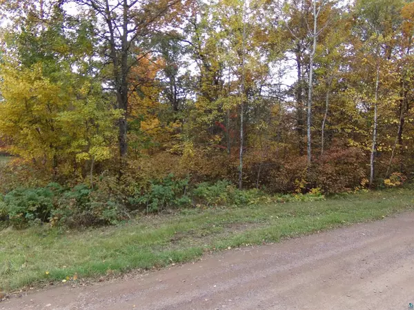 Solon Springs, WI 54873,TBD Biller Loop
