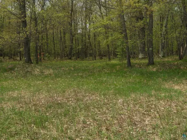 Iron River, WI 54847,6726X E Deep Lake Rd