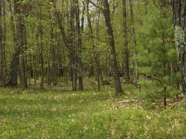 Iron River, WI 54847,6726X E Deep Lake Rd