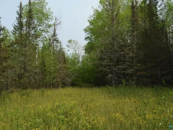 Iron River, WI 54865,919X Hessey Rd