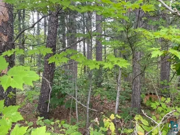8703 E County Rd A, Solon Springs, WI 54873