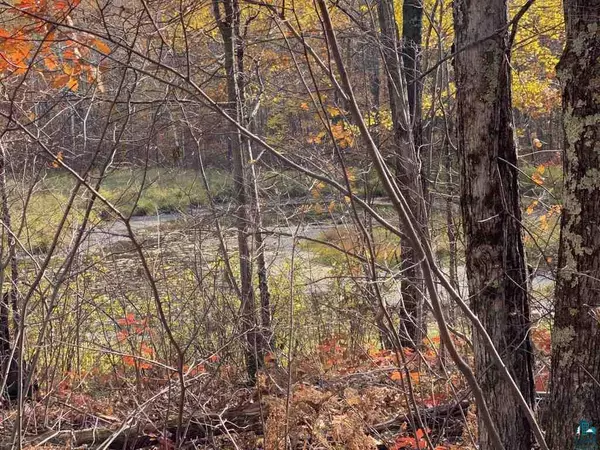 Brule, WI 54820,67152 Wills Rd