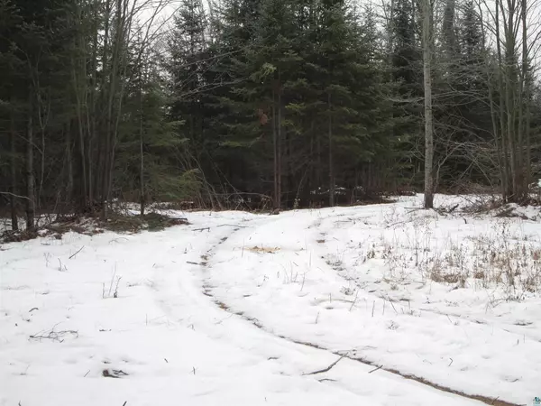 Hawthorne, WI 54874,40 acre Lot 1 County Rd L
