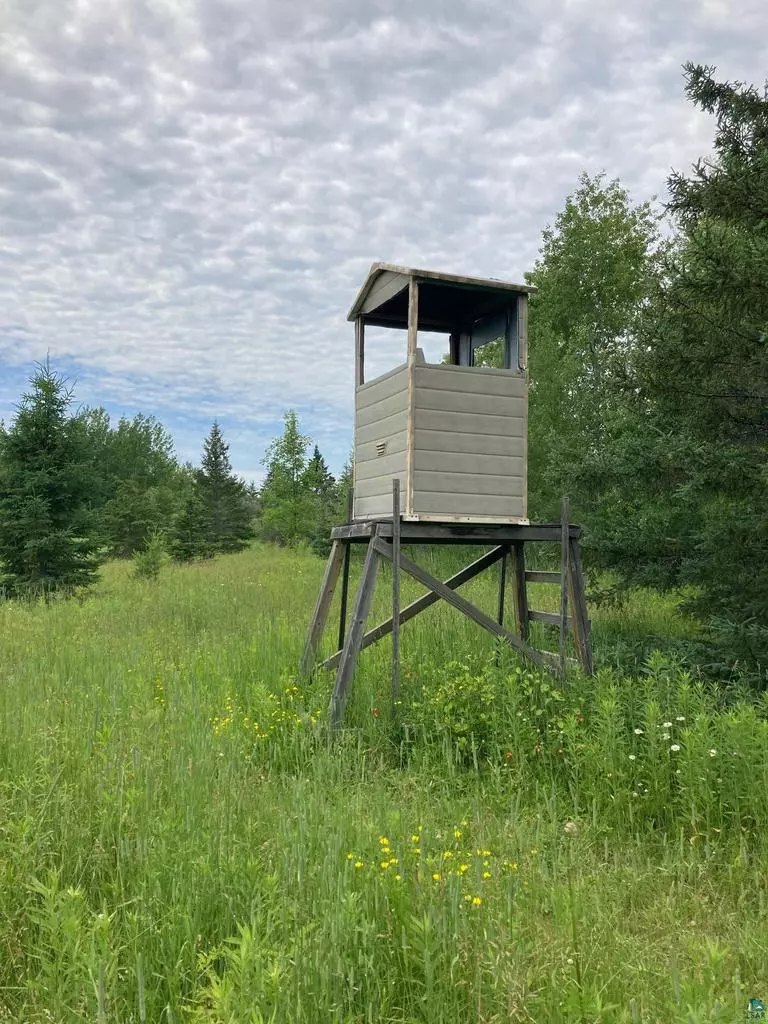 Iron River, WI 54847,XXXXX Hautala Rd