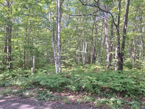 Bayfield, WI 54814,34XXX Bear Paw Tr