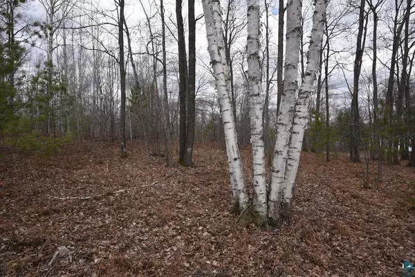 Iron River, WI 54847,000 W Long Lake Rd