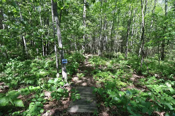 35XXX Highlander Dr, Bayfield, WI 54814