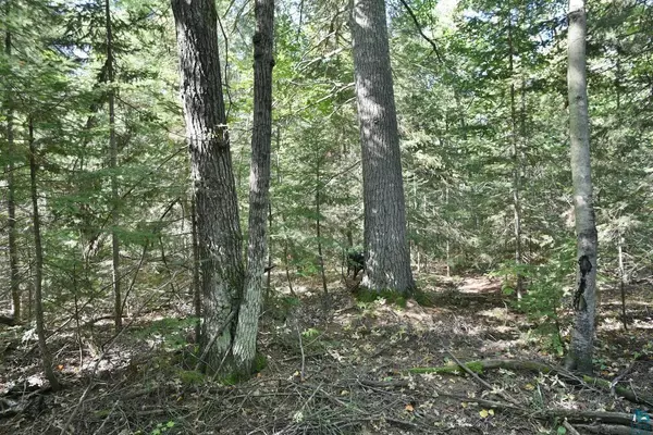 Lot 3 Mountain Rd, Cornucopia, WI 54827