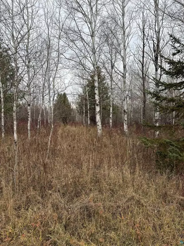 Mellen, WI 54546,000 Coria Rd