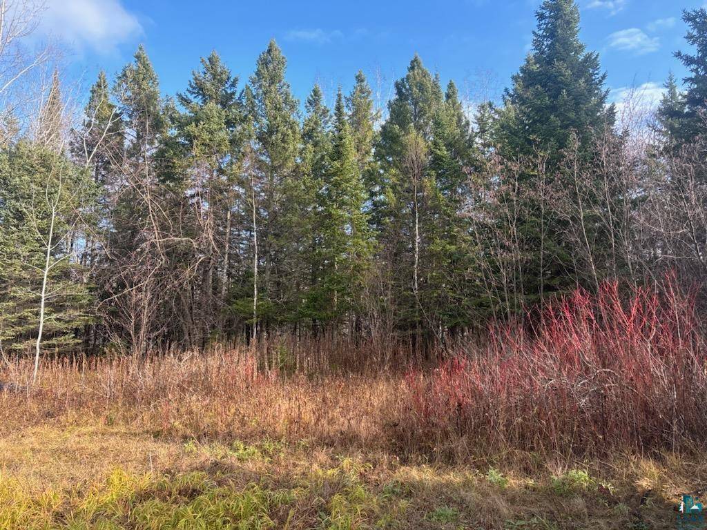 15005 Hultman St, Herbster, WI 54844