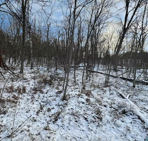 Lot Yellow River Dr, Spooner, WI 54801