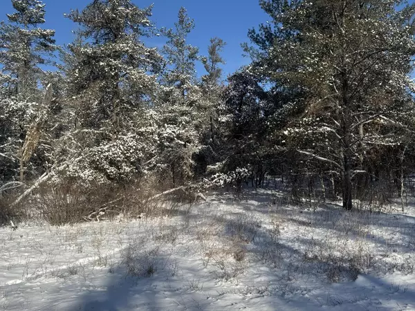 Gordon, WI 54838,119XX E County Rd Y